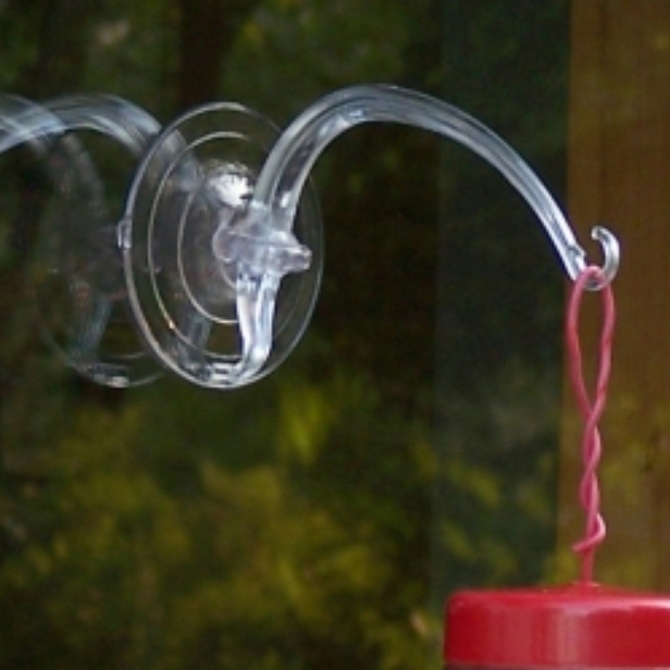 bird feeder window suction hook suction cups direct bird feeder window suction hook suction cups direct