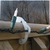 Adams Christmas Decoration Accessories. From Oct -Dec.