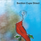 Suction cups with hooks-22mm-Suction Cups Direct