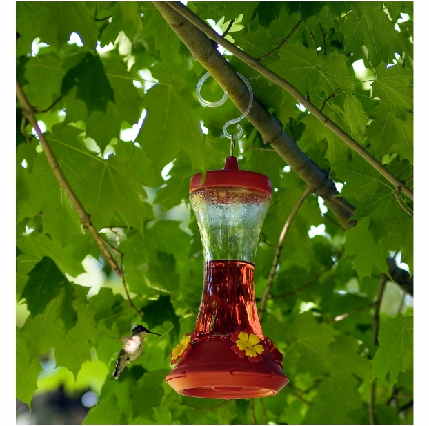 Bird feeder branch hooks. Suction Cups Direct.